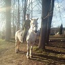 ���� ����, ��������, 31 ��� - ��������� 14 ���� 2016 � ������ �=)�