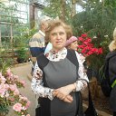 ���� ������, ������, 66 ��� - ��������� 12 ������ 2016 � ������ ������������� ���