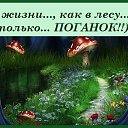 ���� �����, ������, 53 ���� - ��������� 3 ��� 2016 � ������ ������ ��������