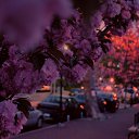 ���� ���������, ������ - ��������� 18 ������� 2016 � ������ ���� ����������