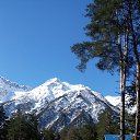 ���� ������, ���������, 66 ��� - ��������� 1 ������� 2016 � ������ ���� ����������