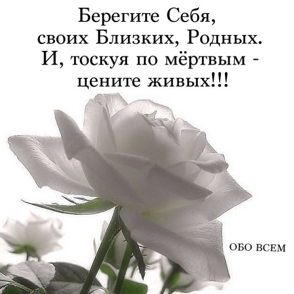 Отчего же люди умирают? Отчего тоска сжимает грудь? Оттого, что очень не хватает Тех, кого обратно ...