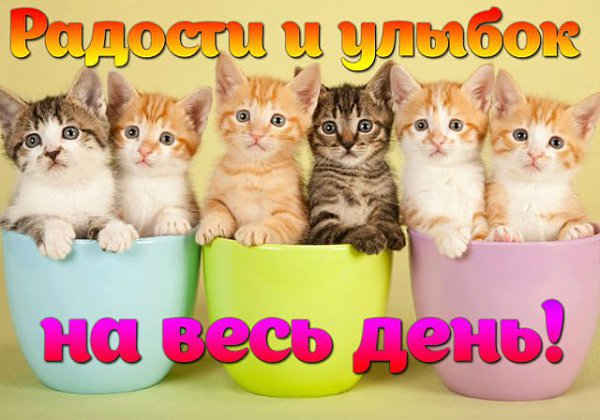 :)