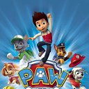 ���� ������. �������. ������� �������, ������ �����, ����� ������, �����-���������, 49 ��� - ��������� 19 ����� 2016 � ������ ������ ��������