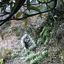 ���� Fredi, ����, 41 ��� - ��������� 18 ��� 2016 � ������ ���� ����������