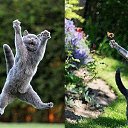 �� ����� �, ������� ��� ���..!!! ...����� ������� - �������... ������ � ���������� �����..!)))) �� ������� ���� ����������