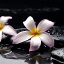 ���� �������, ���, 43 ���� - ��������� 30 ����� 2016 � ������ ���� ����������