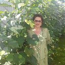 ���� ����, ������ ��������, 76 ��� - ��������� 28 ���� 2016 � ������ ���� ����������