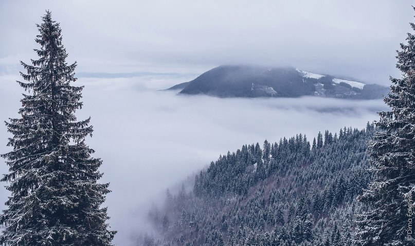 Carpathian Mountains, Ukraine - 4