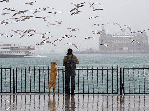    ,     ,  ,     , ...