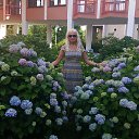 ���� �����, ������ - ��������� 23 ���� 2016 � ������ ���� ����������