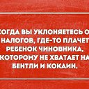 ���� �������, ������-��-���� - ��������� 3 ���� 2016 � ������ ������ ��������