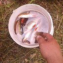 ���� ������, �����, 44 ���� - ��������� 19 ���� 2016 � ������ ���� ����������