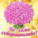 ���� ��������, �����������, 57 ��� - ��������� 13 ����� 2016 � ������ �������� ��������