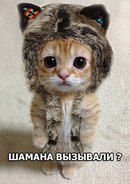 ���� �����, ������, 38 ��� - ��������� 16 ����� 2016