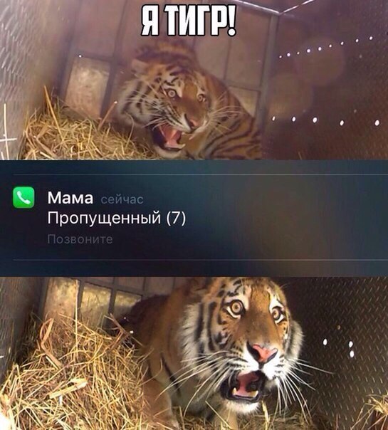    :D - 25  2016  12:35