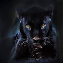 &laquo;    ,     -   ,     &raquo;.(. )    