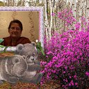 ���� �������, ������, 66 ��� - ��������� 11 ���� 2016 � ������ ������ - ������ �����������