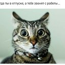 ���� �����, ����������, 62 ���� - ��������� 15 ���� 2016 � ������ ���� ����������