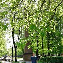 ���� ��������, ������, 43 ���� - ��������� 26 ���� 2016