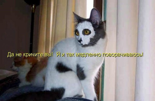 ��� ���� � ����� �� �� - 26 ����� 2016 � 07:32