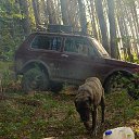 ���� ���, ������������, 46 ��� - ��������� 22 ��� 2016 � ������ �������� 2�