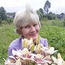 ���� ������, ����, 73 ���� - ��������� 8 ���� 2016 � ������ ���� ����������