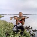 ���� ���������, �������, 54 ���� - ��������� 4 �������� 2016