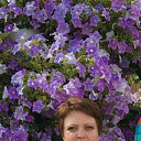 ���� ���������, ������, 59 ��� - ��������� 4 ���� 2016 � ������ ���� ����������