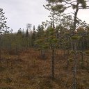 ���� �������, �����-��������� - ��������� 21 ���� 2016 � ������ ������� ������