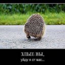 ���� �������, �����, 47 ��� - ��������� 11 ����� 2016