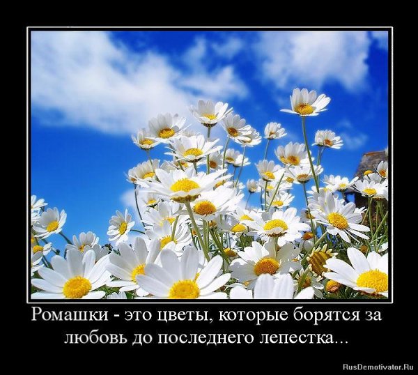   ,       ,  :   :   ...