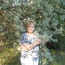 ���� ����, �������, 62 ���� - ��������� 16 ���� 2016 � ������ ���� ����������