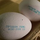 ���� �������, ���������, 72 ���� - ��������� 18 ������� 2016 � ������ ���������