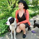 ���� � � � � �, �������������� - ��������� 27 ��� 2016 � ������ ���� ����������