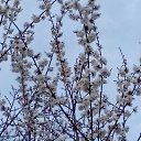 ���� Vassa, ���� - ��������� 18 ������ 2016 � ������ ������ ��������