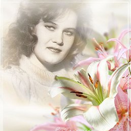 ���� ������, ������-��-����, 50 ��� - ��������� 15 ����� 2016