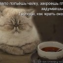 ���� ��������, �������, 52 ���� - ��������� 12 ������� 2016 � ������ ����