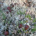 ���� ���������, �������, 53 ���� - ��������� 26 ������� 2016 � ������ ���� ����������