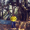 ���� �����, ���������, 43 ���� - ��������� 27 ������� 2016 � ������ �GOA�