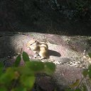 ���� �����, �����, 54 ���� - ��������� 25 ��� 2016 � ������ ���� ����������