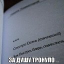 ���� ����������, ����, 58 ��� - ��������� 20 ���� 2016 � ������ �������
