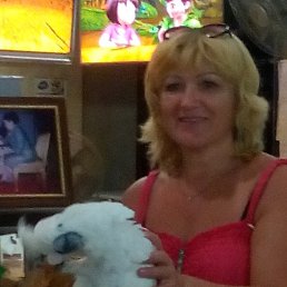 ���� �����, ����������� - ��������� 17 ���� 2016