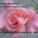 ���� �����, �����-��������� - ��������� 24 ����� 2016 � ������ ���� ���...�