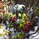 ���� ������, �����������, 43 ���� - ��������� 19 ����� 2016 � ������ �����л