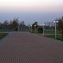  ,  -  27  2016        1  2014 
