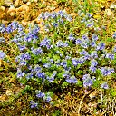 ���� Serg, �����������, 59 ��� - ��������� 2 ��� 2016 � ������ ���� ����������