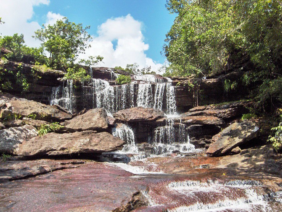 -      .- (Cao Cristales   ), ... - 7