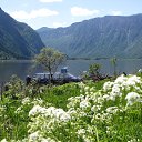 ���� ����, ������� - ��������� 17 ���� 2016 � ������ ���� ����������