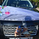 ���� ������, ���������, 42 ���� - ��������� 14 ��� 2016 � ������ �282�